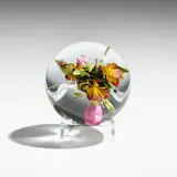 Paul Stankard, Botanical paperweight