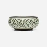 Harrison McIntosh, Bowl