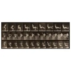 Eadweard Muybridge, Animal Locomotion (Plate 247), 1887, Collotype; letterpress title, plate number '247', copyright, date, and credit in the margin, a Fraenkel Gallery label on the reverse of the mat