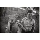 Garry Winogrand, Fort Worth, Texas, 1975, Gelatin silver print