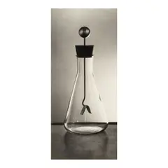 Gold Leaf Electroscope by Berenice Abbott, c. 1960, Gelatin silver print; mounted, sold Apr 2026