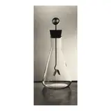 Berenice Abbott, Gold Leaf Electroscope, c. 1960, Gelatin silver print; mounted