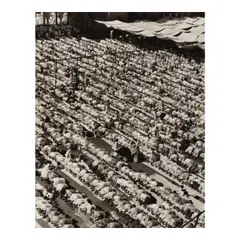 Margaret Bourke-White, Toward Mecca (Muslims Praying at Jami Masjid, Delhi, India), 1946, Gelatin silver print; the photographer's 'LIFE Photo by Margaret Bourke-White' credit stamp on the reverse