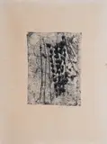 Jan Hladík, Flowers, 1971, structural print, paper