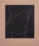 Ota Janeček, Nude