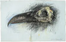 John Alexander, Raven Skull, 1991, Pastel and charcoal on paper