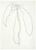 Dracena 2 by Ellsworth Kelly, 1983-1985, Transfer lithograph on Rives BFK paper, sold Oct 2016