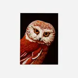 Tom Palmore, Predator VIII (Saw Whet Owl), oil on canvas