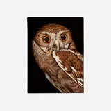 Tom Palmore, Predator I (Burrowing Owl), oil on canvas