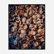 Xing Danwen, Duplication Series 5, 2003, C-print