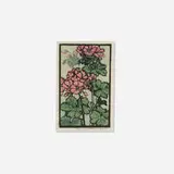 Frances Gearhart, Two Geraniums, c. 1937, woodcut in colors