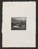 Karolina Larusdottir, Untitled