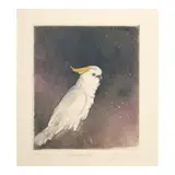 Joseph Goldyne, Cockatoo,, Monotype in colors on wove paper