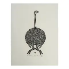 Ostrich; Indian Wood Ibis from Twelve Birds (2 works) (Tahir 196; 203) by Jacques Hnizdovsky, 1975, Two woodcuts on rice paper, each signed in pencil, sold Jan 2026