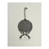 Jacques Hnizdovsky, Ostrich; Indian Wood Ibis from Twelve Birds (2 works) (Tahir 196; 203), 1975, Two woodcuts on rice paper, each signed in pencil