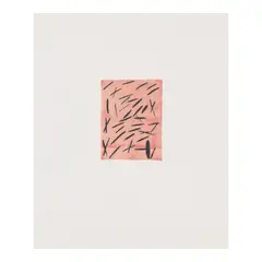 Larry Poons, Untitled from Ten from Leo Castelli, 1967, Screenprint in colors on wove paper