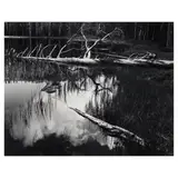 Ansel Adams, Siesta Lake, Yosemite National Park, California, c. 1958, Gelatin silver print; with 'Special Edition Photograph by Ansel Adams' stamp in ink on the verso; mounted