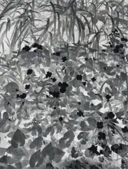 Paul Caponigro, Negative Print, Brewster, New York, 1963, Gelatin silver print