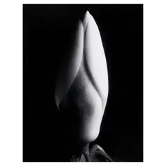 Imogen Cunningham, Magnolia Bud, 1920s, Gelatin silver print