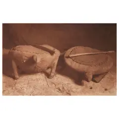 Edward S. Curtis, The Sacred Turtles – Mandan, 1908, Photogravure on Japanese tissue; signed within the plate; framed