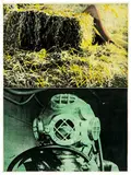 John Baldessari, Leg, Straw, Diver (from Hegel's Cellar Portfolio)