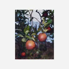 Orange Grove #6 by Roe Ethridge, 2004, c-print, sold Sep 2017