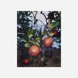 Roe Ethridge, Orange Grove #6