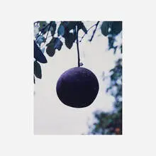 Orange Grove #7 by Roe Ethridge, 2004, c-print, sold Sep 2017