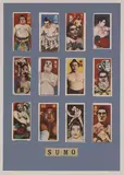 Sir Peter Blake, Untitled