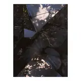 Sandi Haber Fifield, GD19_314, from the series The Certainty of Nothing, 2019, Inkjet print; signed 'Sandi Haber Fifield p.2020'