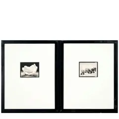 Selected Images ('Hannah's Beeswax Flower' and 'Games in the Sun') by Michael Kenna, 1995-97, Two sepia-toned gelatin silver prints, sold Jan 2026