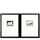 Michael Kenna, Selected Images ('Hannah's Beeswax Flower' and 'Games in the Sun')