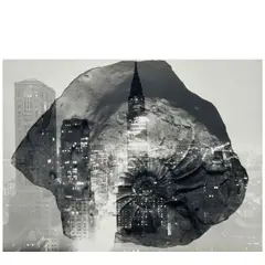Barbara Morgan, 'Fossil in Formation (Photomontage)', 1965, Gelatin silver print