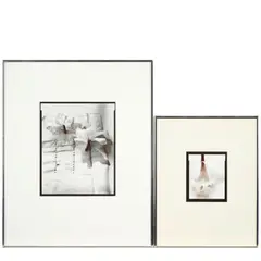 Olivia Parker, Two Photographs including: Cut Orchid, 1980, Two gelatin silver prints