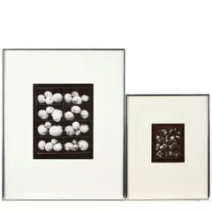 Olivia Parker, Two Photographs including: Mixed Nuts, 1978, Two gelatin silver prints
