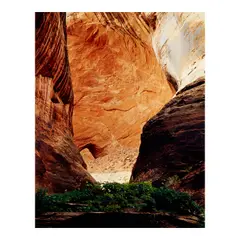 Eliot Porter, Selected Images (comprising 'Pool in a Brook, Pond Brook, Near Whiteface, New Hampshire, October 4, 1953' and 'Amphitheater. Davis Gulch, Escalante Basin, May 12, 1965'), 1953/1965, Two dye transfer prints
