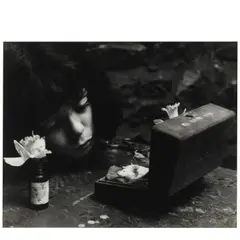 Death of Gus-Gus by W. Eugene Smith, 1953, Gelatin silver print, sold Jan 2026