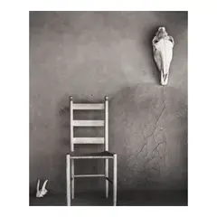 Todd Webb, 'Chair + Skulls, Ghost Ranch, N.M.' (Georgia O'Keeffe's Home), 1959, Gelatin silver print