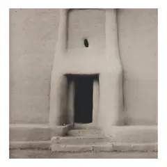 Carrie Mae Weems, Shape of Things (female) (from 'Africa'), 1993, Platinum print