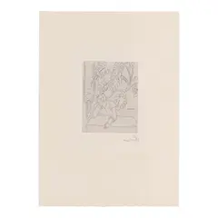Henri Matisse, Intérieur au feuillage (Interior with Foliage) (Duthuit 244), 1935, Etching on chine appliqué with Arches support