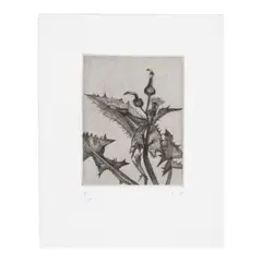 Lucian Freud, Thistle (Treves 34, Hartley 23), 1985, Etching on wove paper