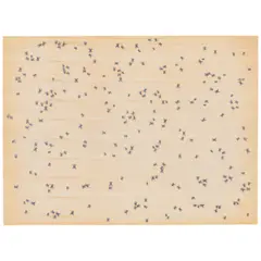 Ed Ruscha, Insects (Engberg 60-65), 1972