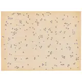 Ed Ruscha, Insects (Engberg 60-65), 1972