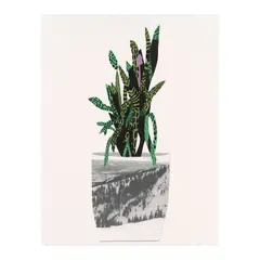 Jonas Wood, Untitled (Gagosian pp.50-51), 2014, Lithograph and screenprint in colors on wove paper