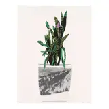 Jonas Wood, Untitled (Gagosian pp.50-51), 2014, Lithograph and screenprint in colors on wove paper