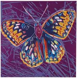 Andy Warhol, San Francisco Silverspot (from Endangered Species Portfolio), 1983, Color screenprint on Lenox Museum Board