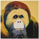 Andy Warhol, Orangutan (from Endangered Species Portfolio), 1983, Color screenprint on Lenox Museum Board