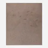 Allan Graham, Drift Attacked by an Edge Swarm, 1999, oil and graphite on canvas