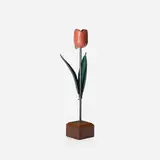 Folk Art, Untitled (Tulip)