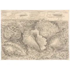 Jean Dufy, Coquillages, circa 1960, pencil on paper